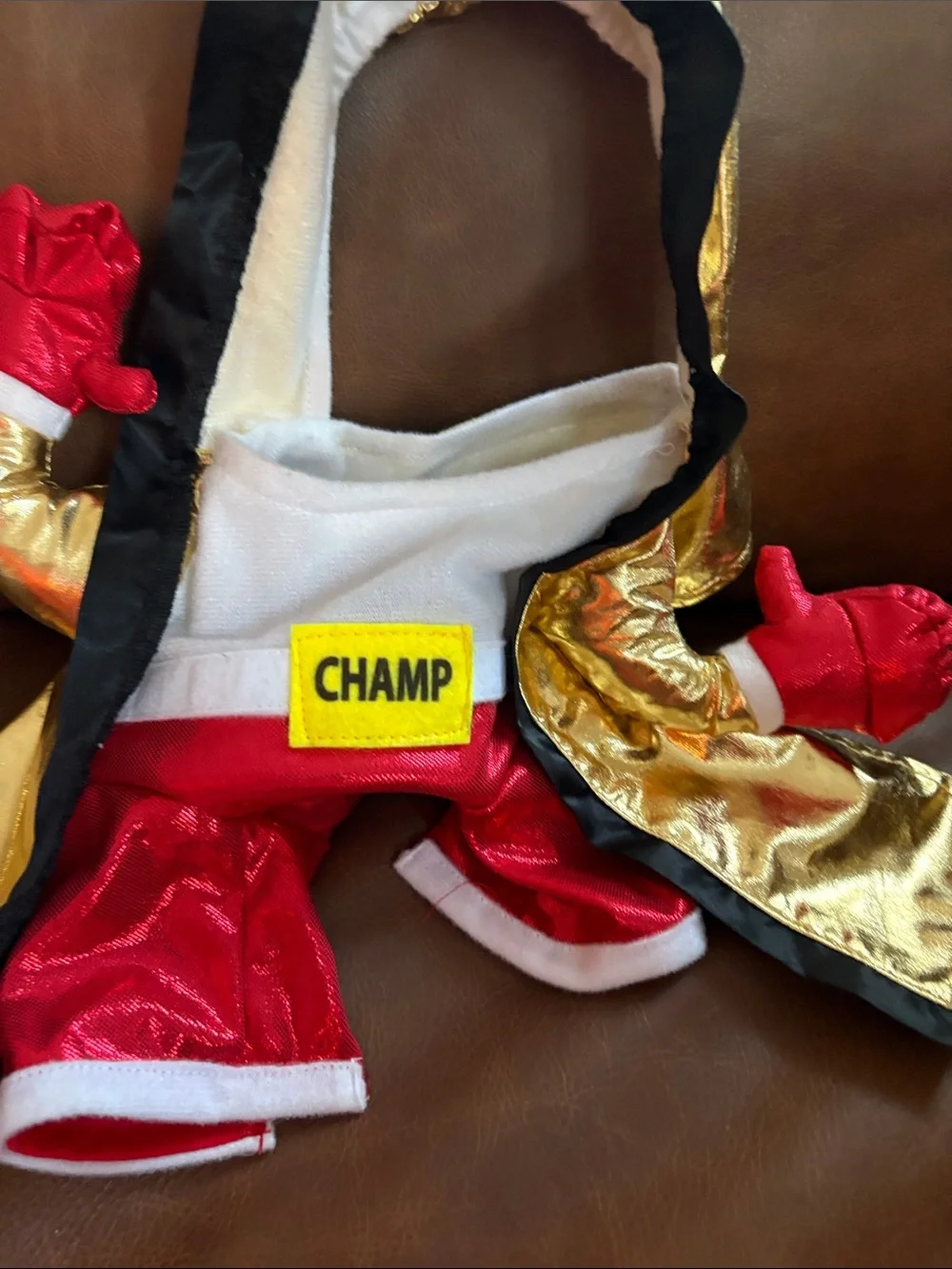 Boxing Champ Frontal dog S Halloween costume